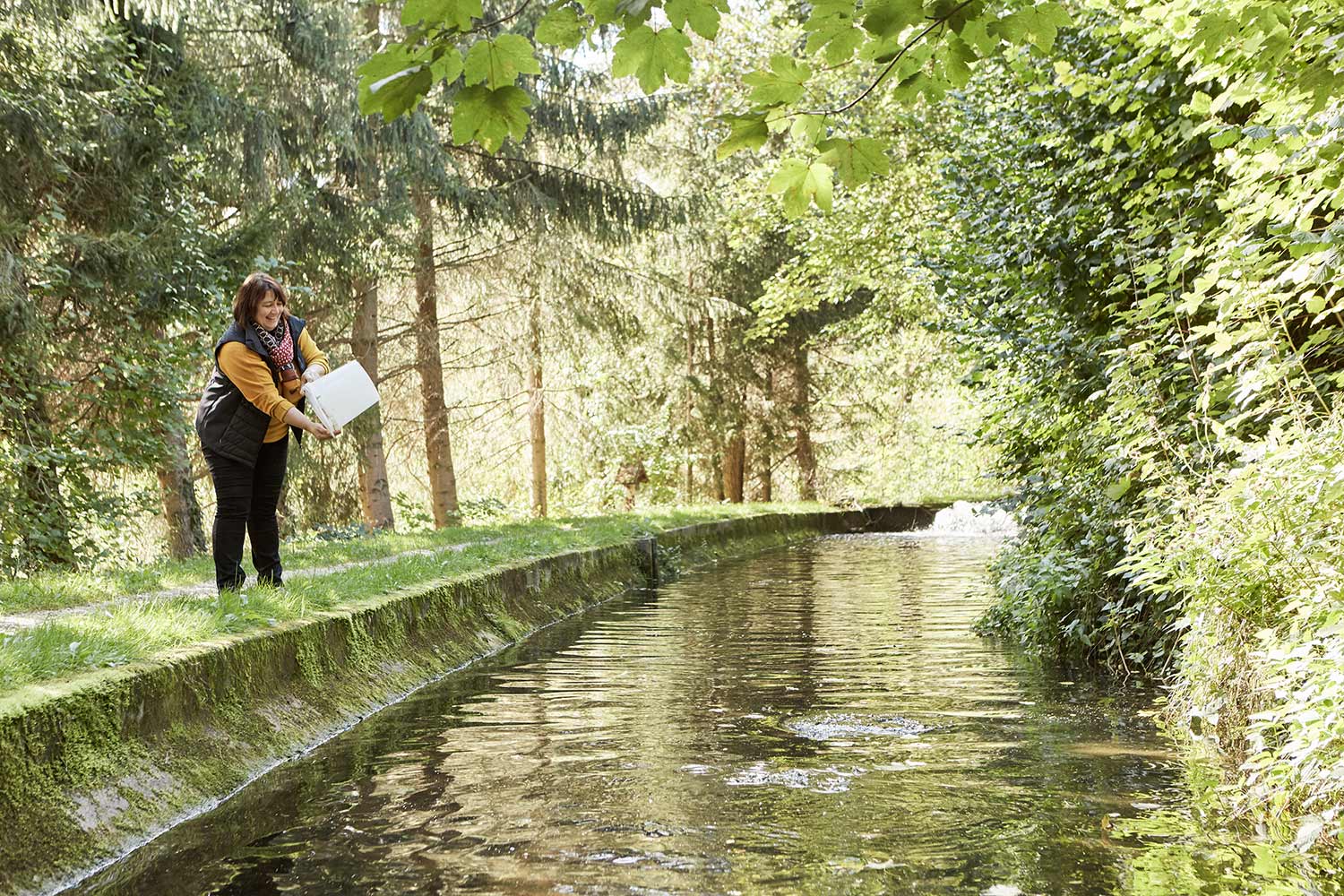 Fischzucht Linder - Fische im Zuchtbecken