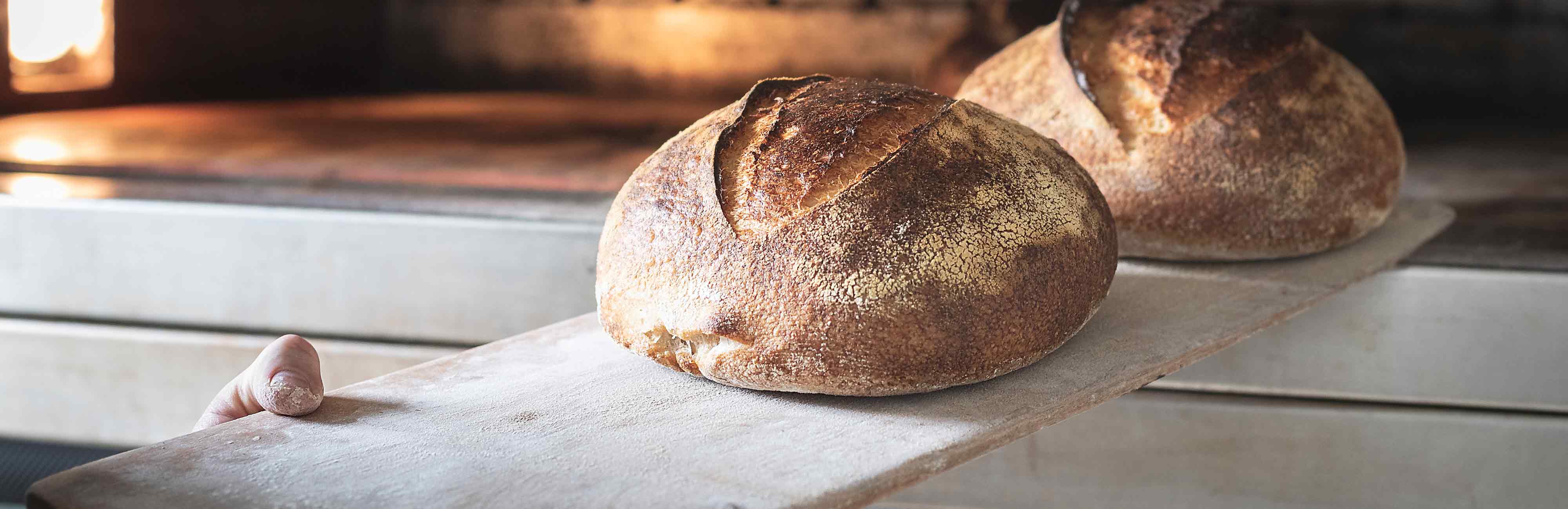 Carls Hofbäckerei - Brot wird aus dem Ofen geholt